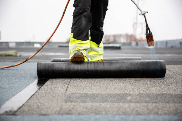 Best Solar Panel Roofing Installation  in Omaha, TX
